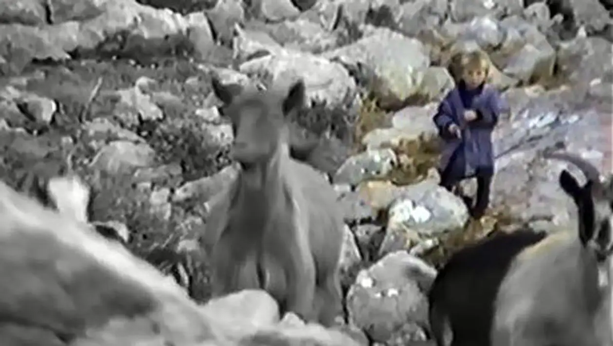 Хорватский режиссер в 1990-м снимал фильм про волков. В кадр попал 5-летний Лука Модрич