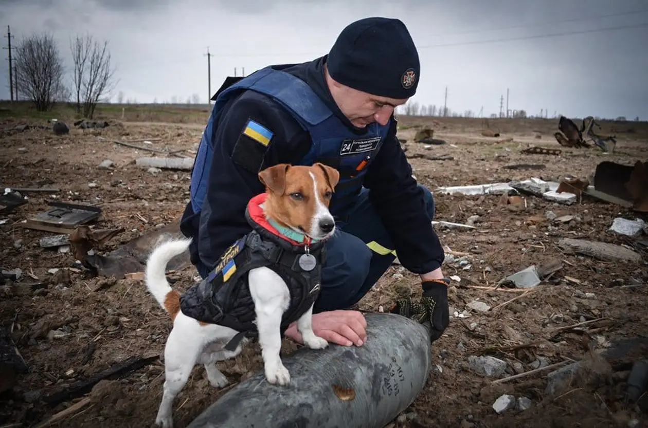 Патрон – чотирилапий сапер, який допомагає українським рятувальникам