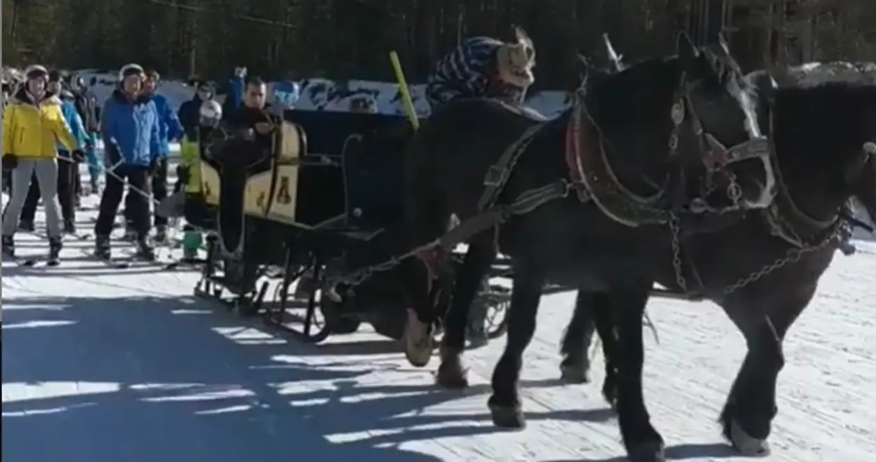 👀 Данкли показала необычный способ езды на лыжах: в упряжке за конями