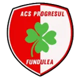 ACS Progresul Fundulea