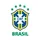 Сборная Бразилии по футболу U-17