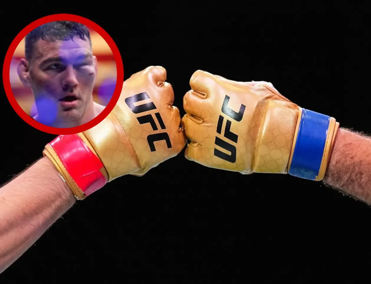 UFC представили нові рукавички. Кінець тичкам в очі?