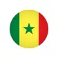Сборная Сенегала по футболу