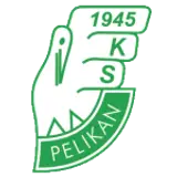 KS Pelikan Łowicz