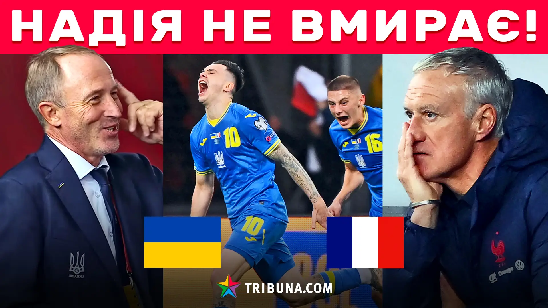 Підсумки матчу Україна - Франція. Зібрали усе найцікавіше