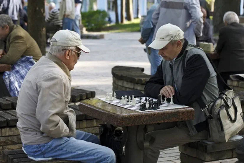 Как научиться играть в шахматы самостоятельно?