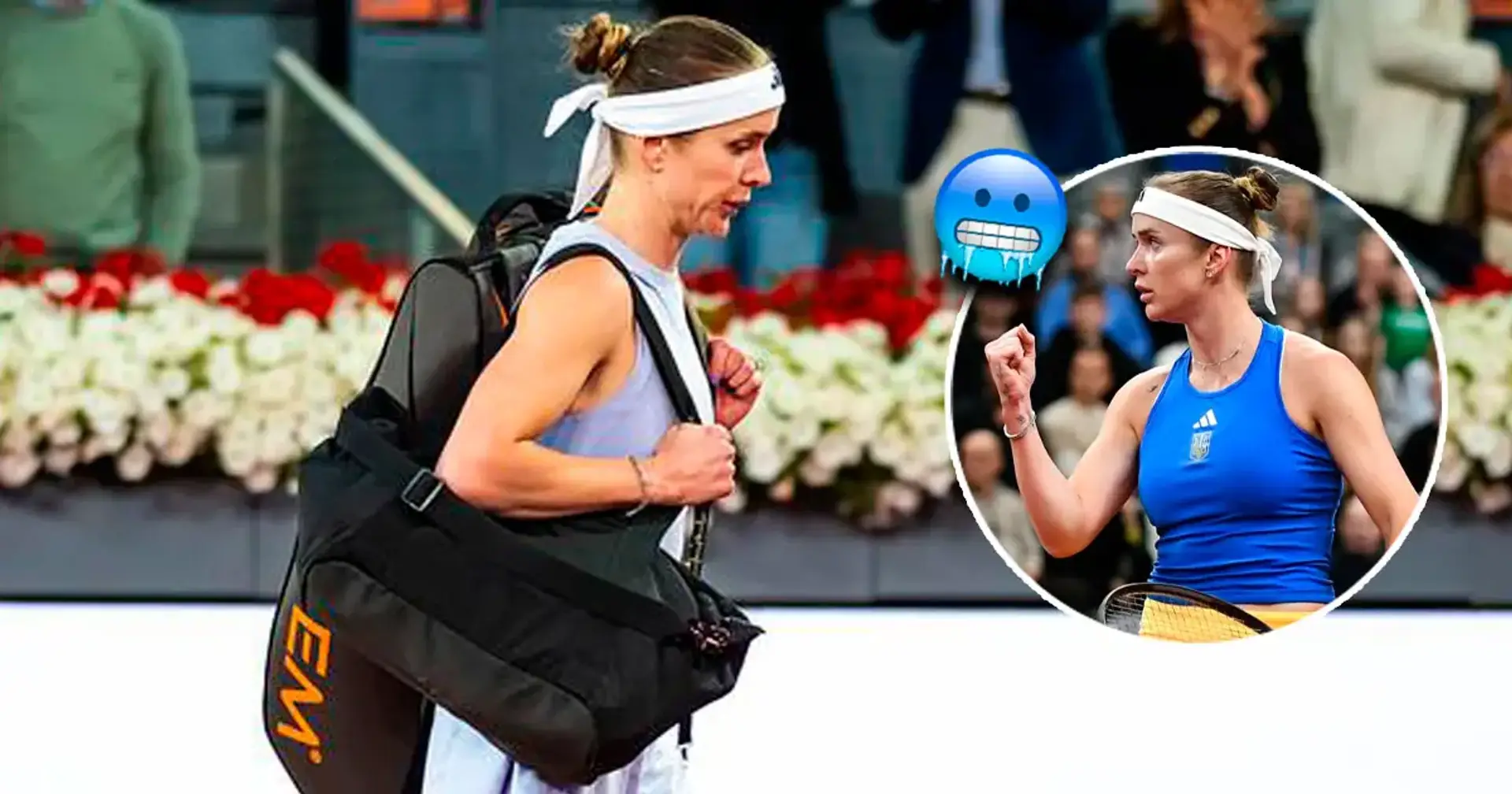 У WTA не вказали, що Світоліна знає українську, але вписали в її анкету російську мову
