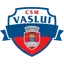 CSSM Vaslui