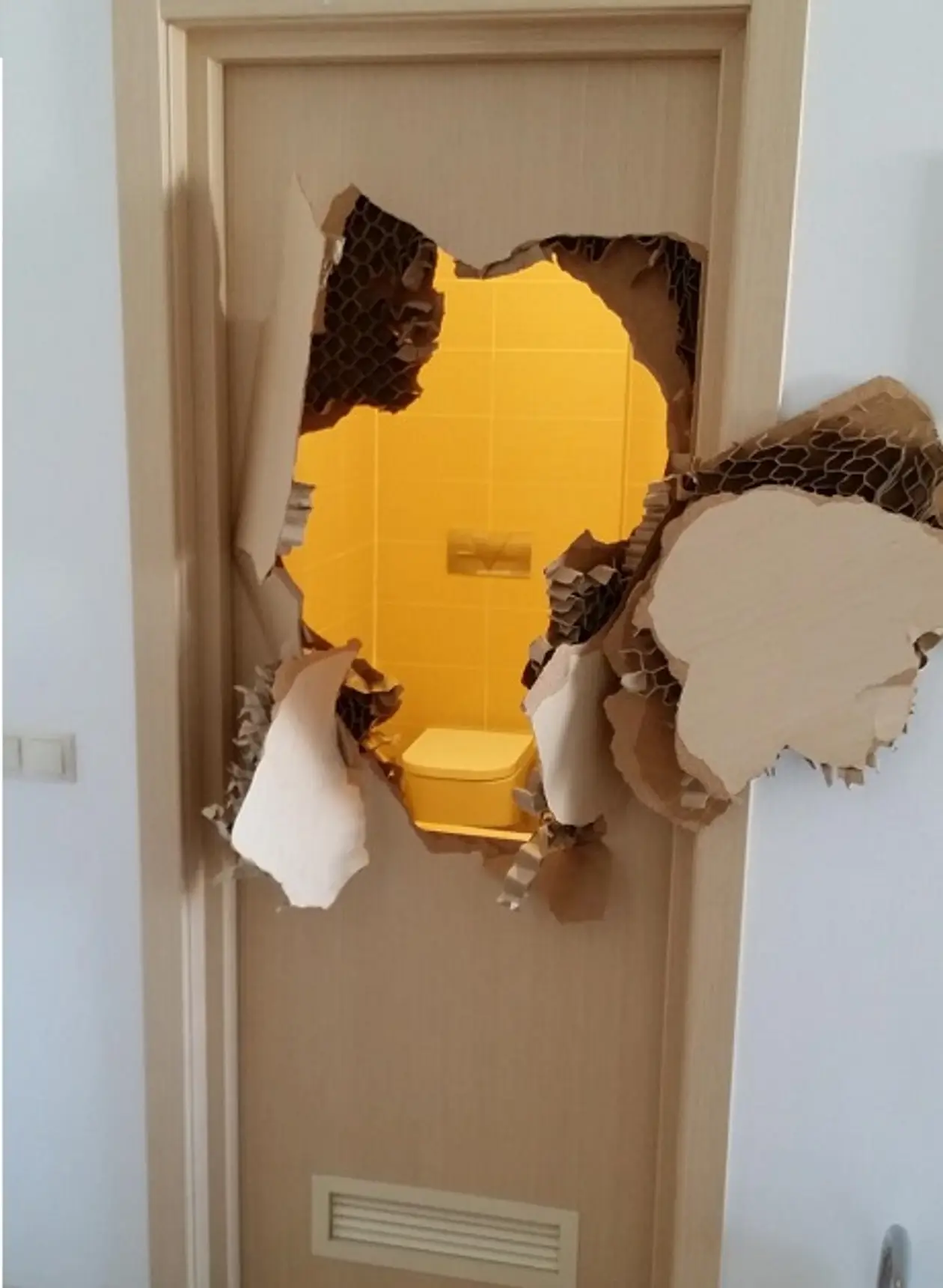 Американский бобслеист застрял в уборной и выломал дверь