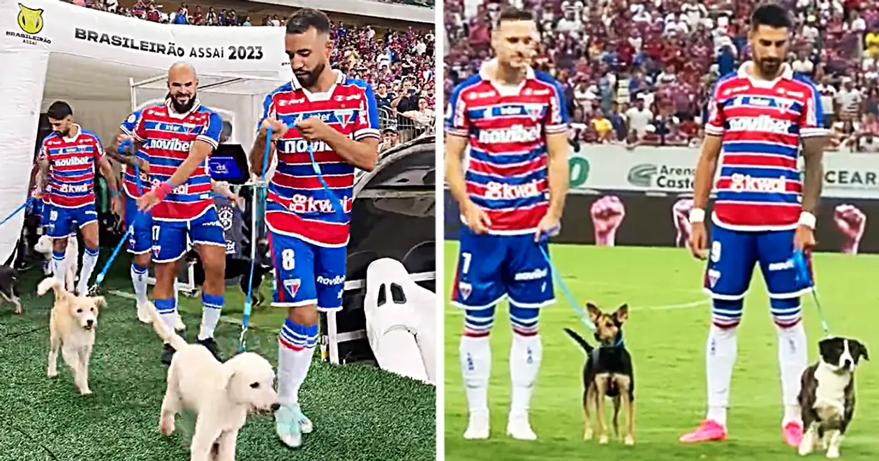 Те, що може вас розчулити: гравці бразильської «Форталези» вийшли на поле з собаками перед грою в неділю