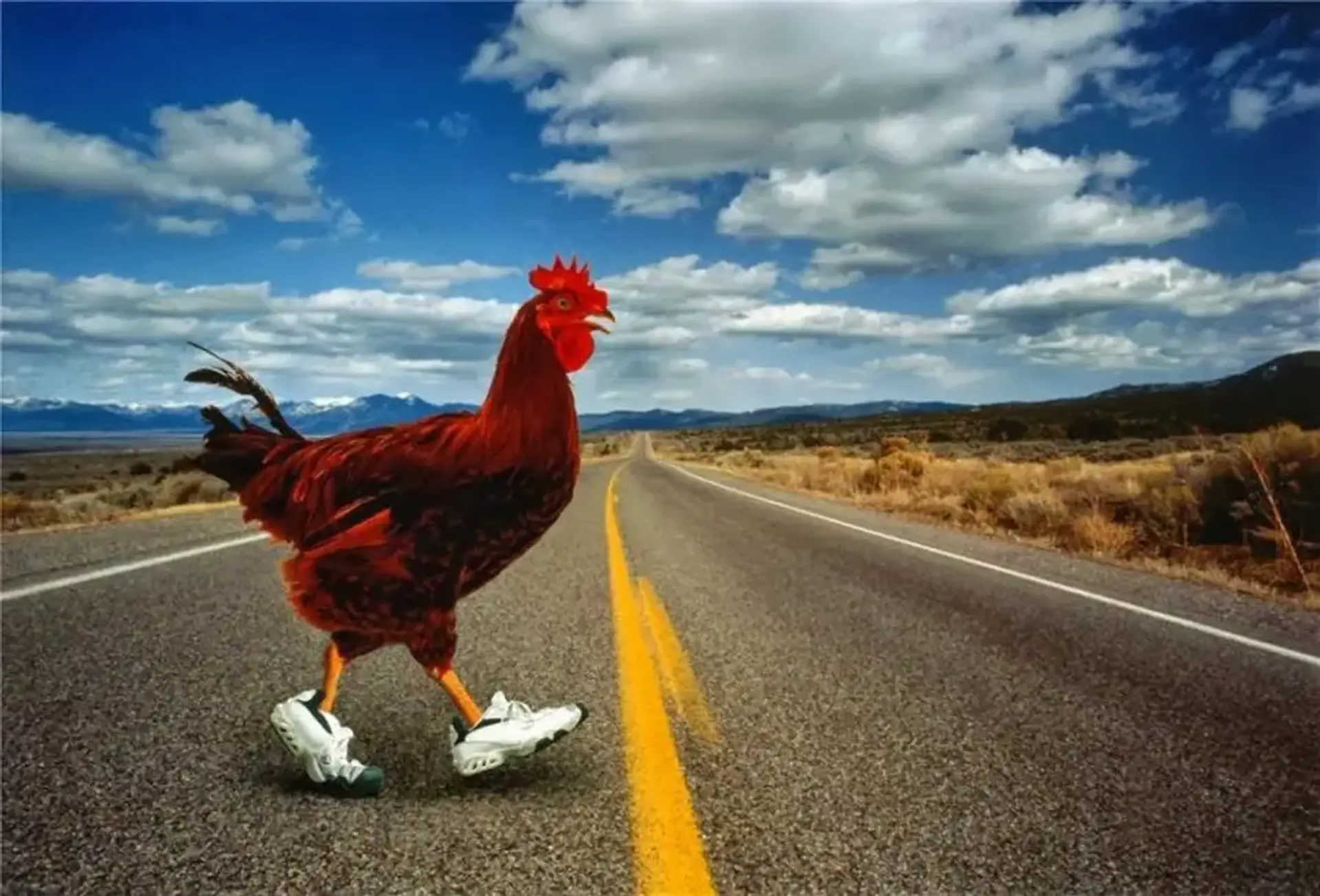 Огляд гри Chicken Cross