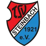 Штайнбах Гайгер