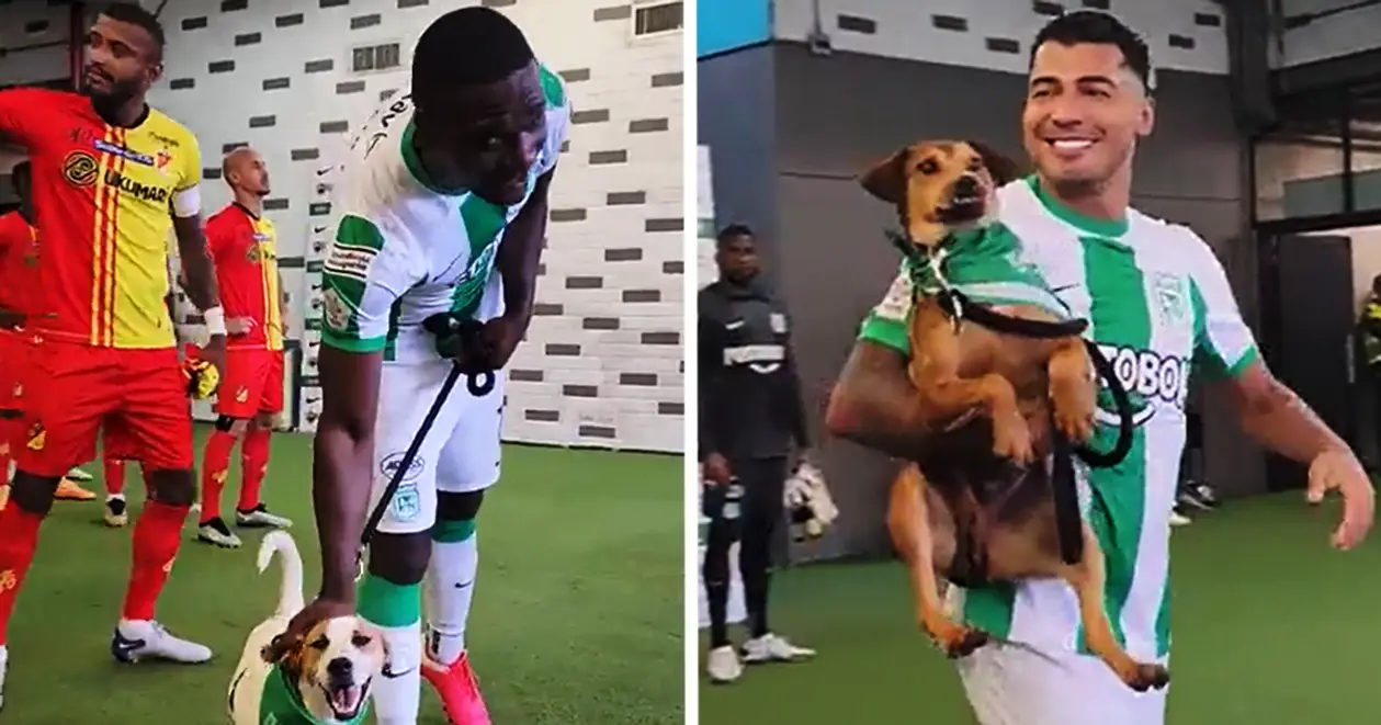 😍 Гравці колумбійського «Атлетіко Насьональ» вийшли на матч з собаками, а згодом вони стали їхніми домашніми улюбленцями