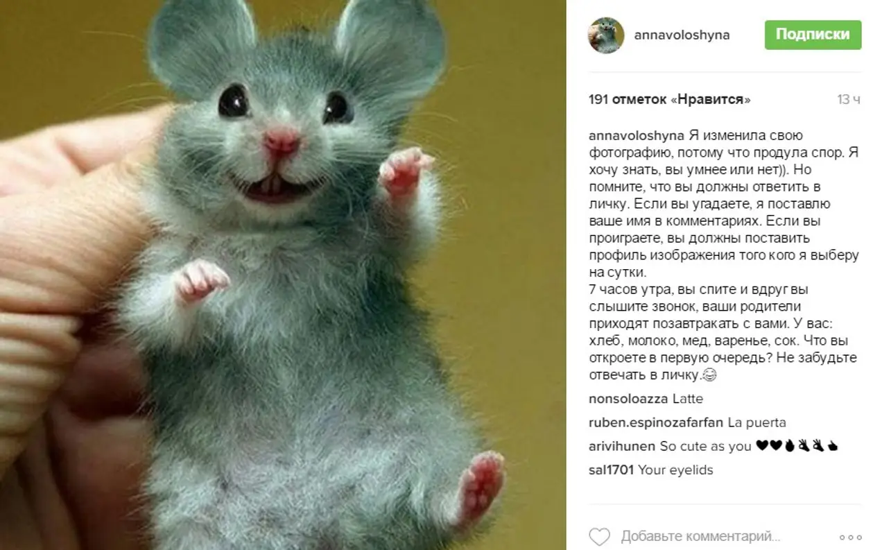 Синхронистка Волошина проиграла спор в Instagram