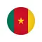 Олимпийская сборная Камеруна