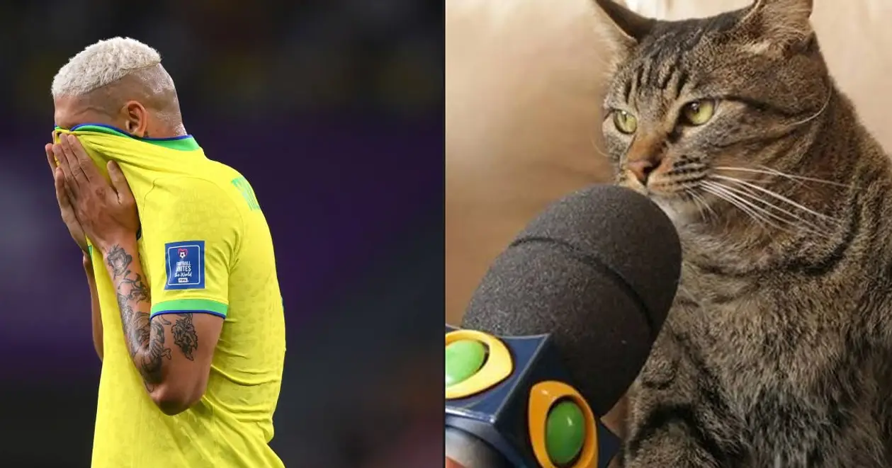 Бразилія в ролі кота, Модрич годує «голубів» – головні меми про виліт Неймара й компанії