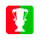 Кубок Венгрии по футболу