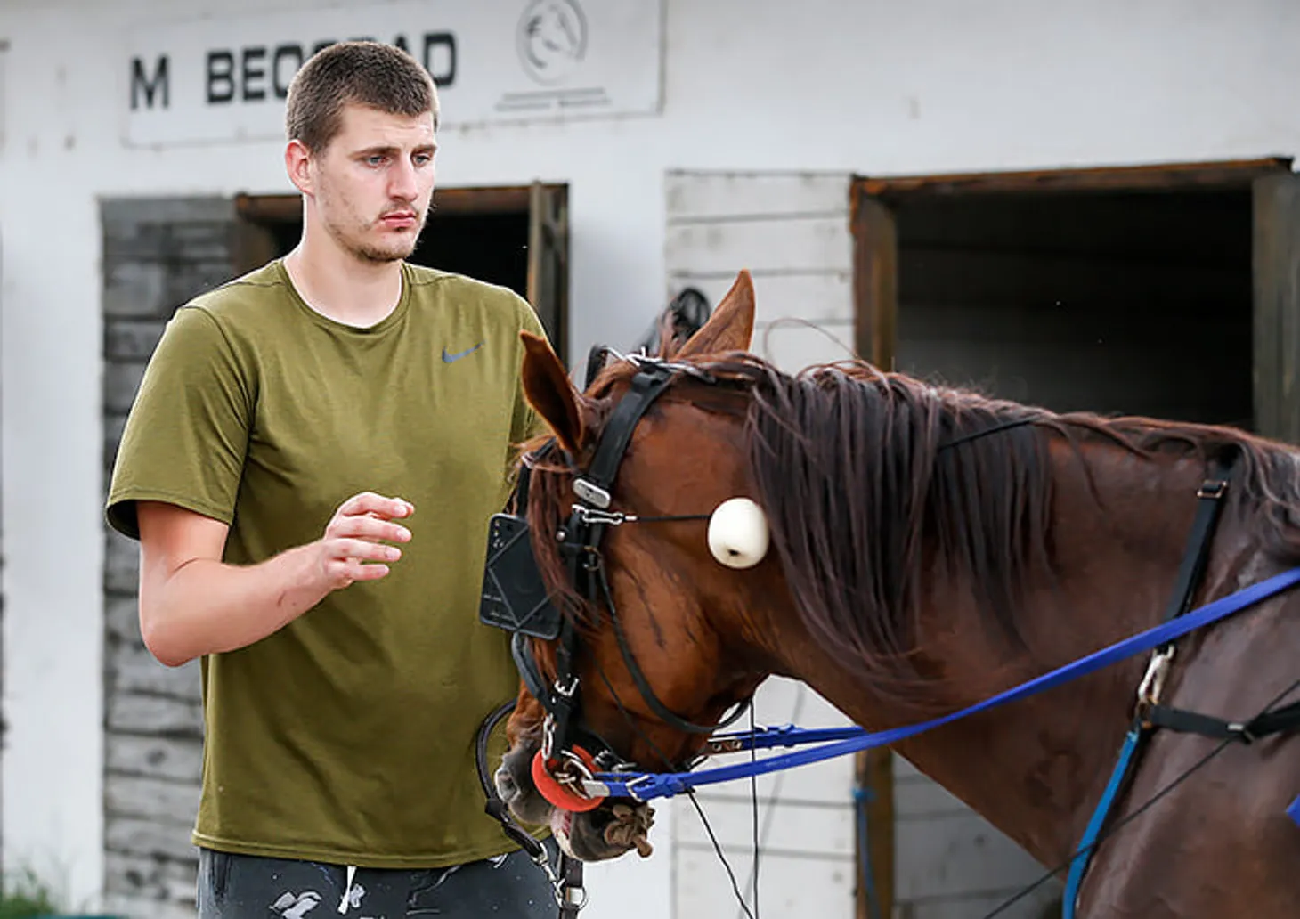 Йокич любит лошадей не меньше баскетбола. Вложил 1 млн евро в реконструкцию ипподрома в родном городе и хочет заняться конным спортом