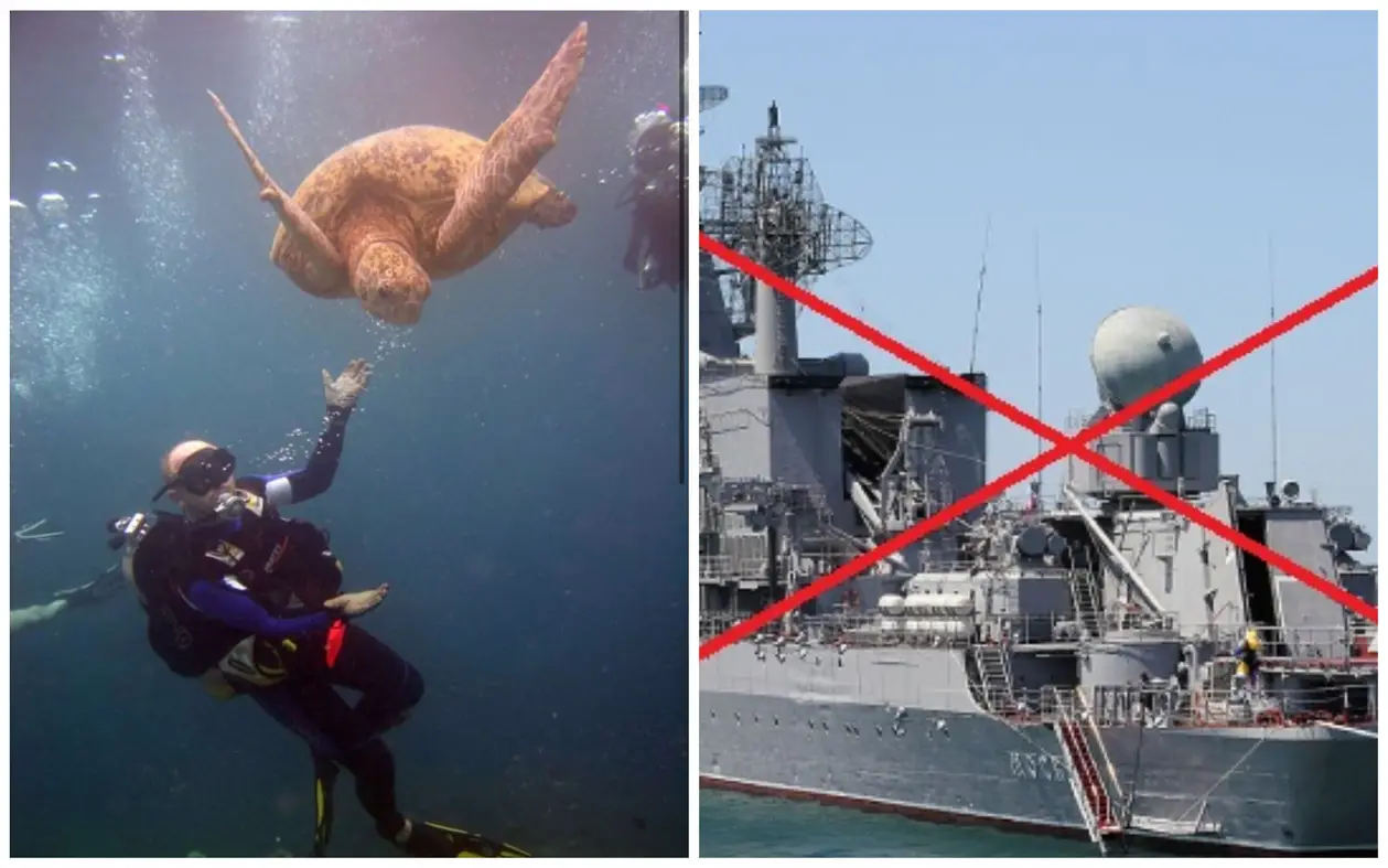 «У мене понад 300 занурень з аквалангом». Міністр оборони тролить затонулий російський корабель