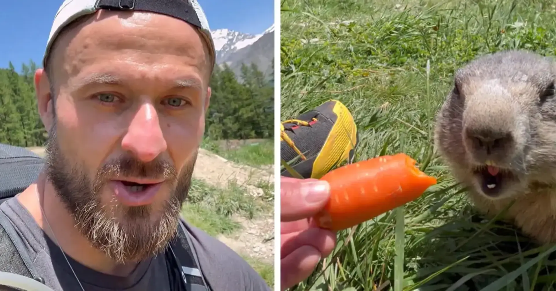  🥰 Ваша денна порція милоти. pashaBiceps зустрів та нагодував бобра у дикій природі
