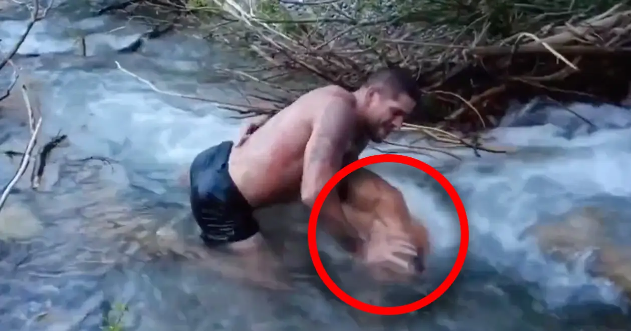 Бразильська боротьба з UFC. Перейра запхнув Тейшейру головою у гірську річку