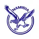 Юниорская сборная Намибии по регби