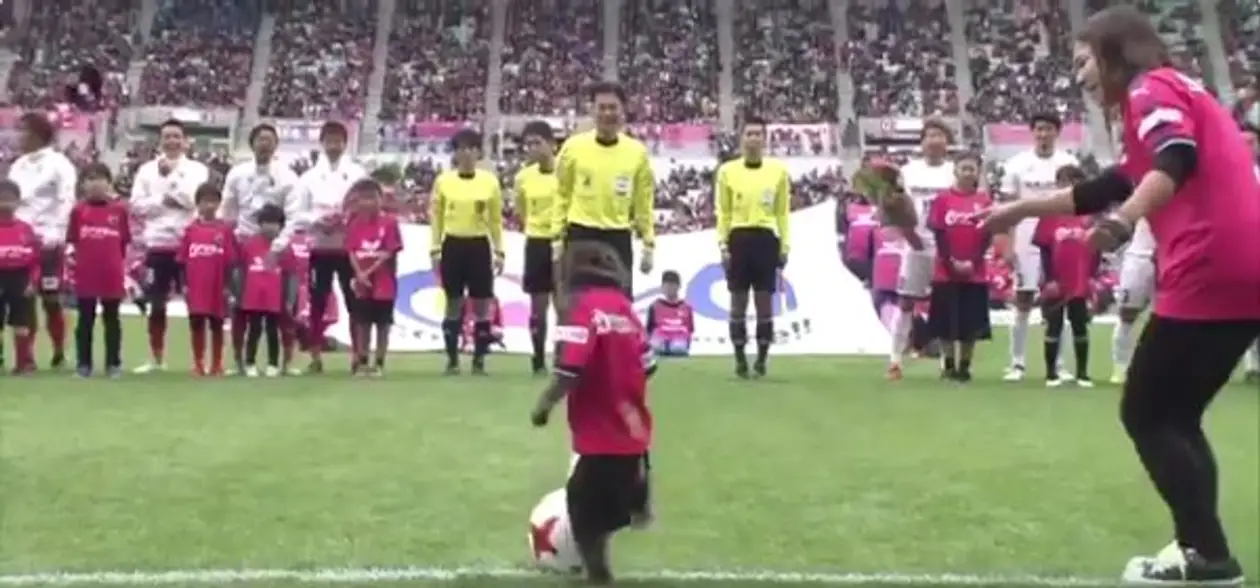 Обезьянка передала мяч судье перед матчем чемпионата Японии