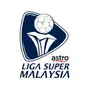 Чемпионат Малайзии по футболу