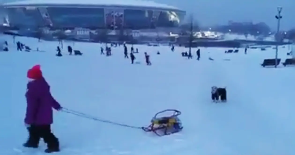 Зимние забавы в парке у «Донбасс Арены»