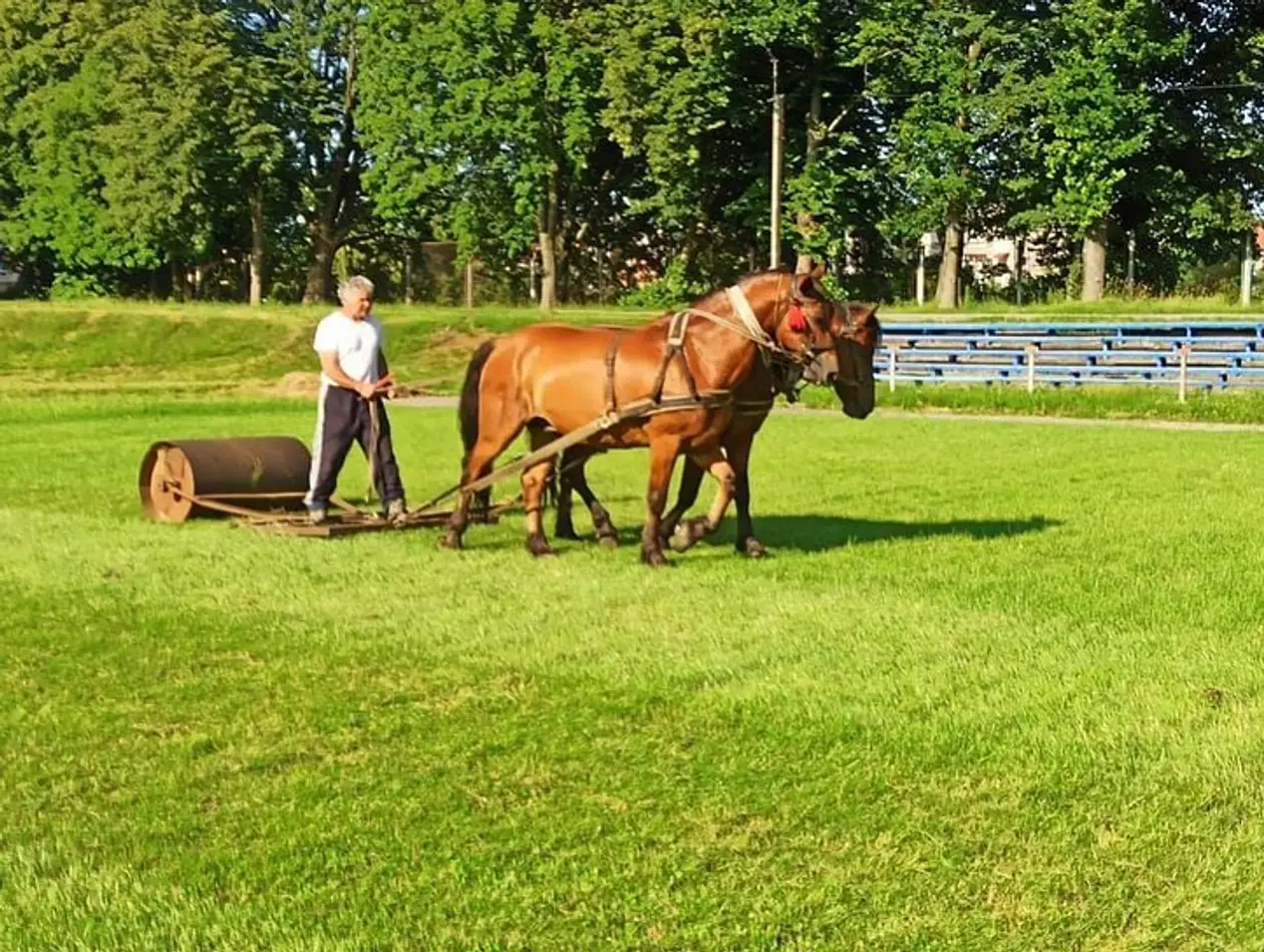 Вот так стадион в Ивано-Франковской области готовят с помощью лошадей