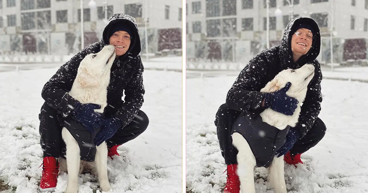 Цыганков поздравил собаку с днем рождения милейшим фото