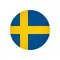 Юниорская сборная Швеции по хоккею с мячом