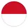 Сборная Индонезии по футболу