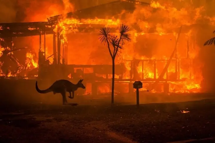 В Австралии жуткие пожары: Брисбен, где сейчас Свитолина и Ястремская, рядом с опасной зоной, Australian Open под угрозой