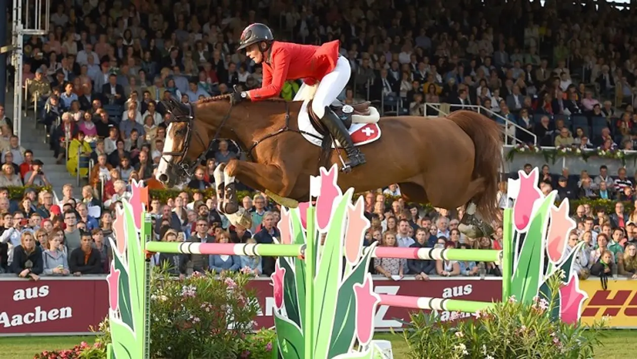 Швейцарской наезднице простили допинг: ее лошадь ела сено, на которое мочился принимавший лекарства водитель