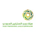 высшая лига Саудовская Аравия