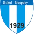 TJ Sokol Nespeky