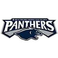 South Adelaide Panthers FC