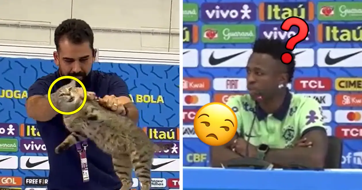 🤬 Відео, яке вас розлютить: перекладач збірної Бразилії агресивно викинув котика, який пробрався на пресконференцію Вінісіуса