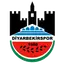 Diyarbakır Yol Spor Kulübü