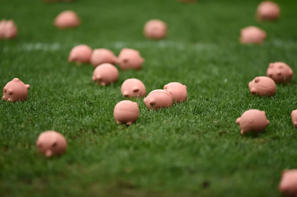 Фанаты забросали поле игрушечными свиньями, протестуя против владельцев клубов