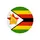Женская сборная Зимбабве по водным видам спорта