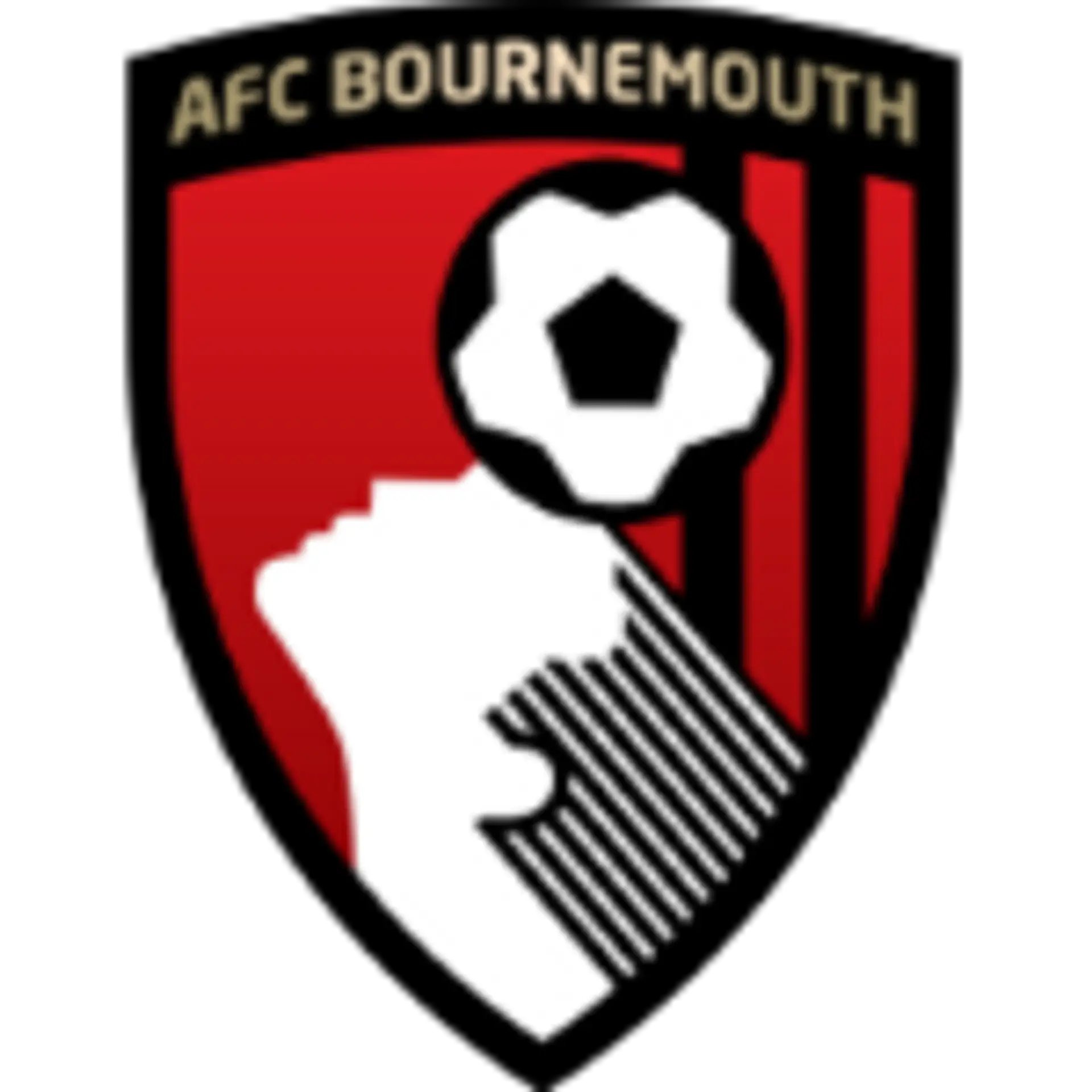 Bournemouth Squad