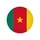 Збірна Камеруну