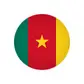 Збірна Камеруну з футболу