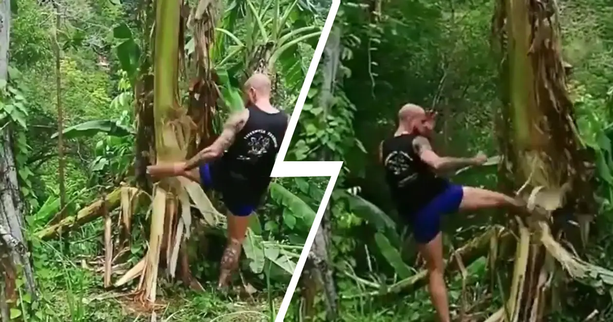 Украинец рубит пальму одной ногой в Таиланде. Дерево поддалось тут же