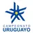 высшая лига Уругвай
