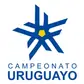 Чемпионат Уругвая по футболу