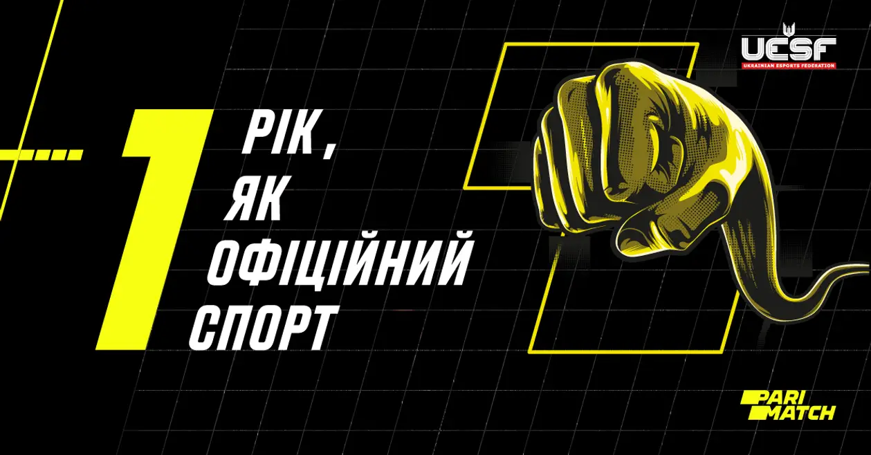 Украина киберспортивная. Как прошел первый год для нового вида спорта