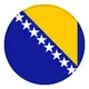 Збірна Боснії та Герцеговини з футболу